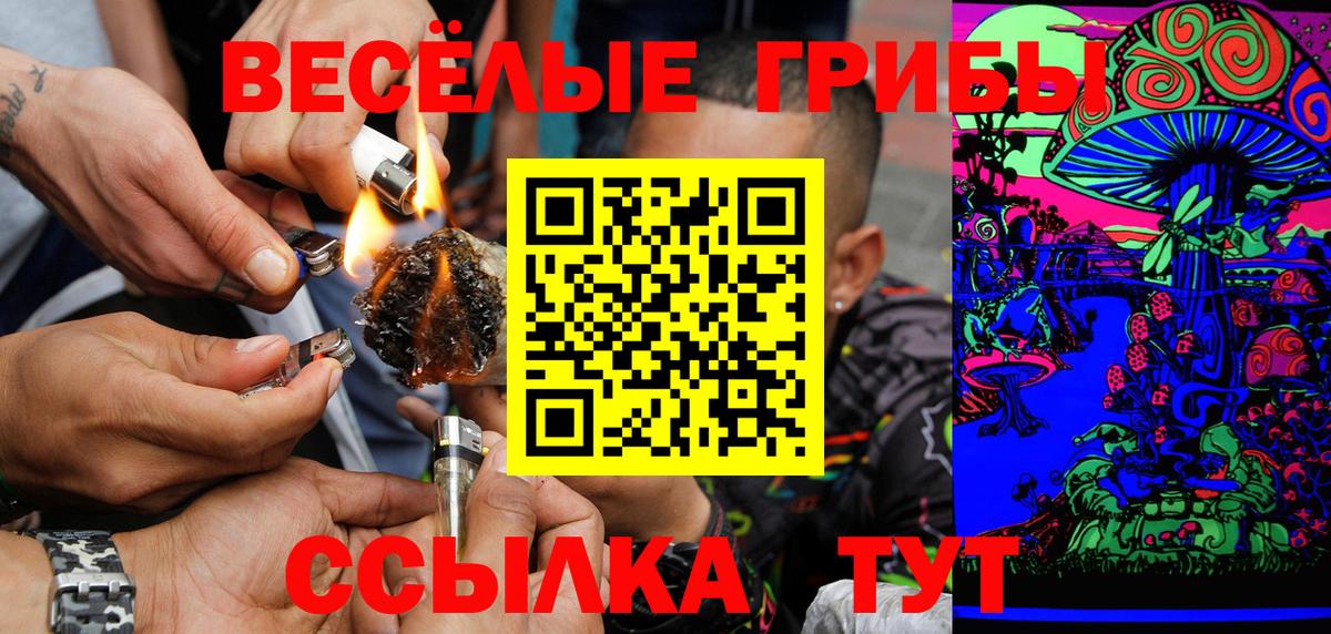 Псилоцибиновые грибы мухоморы Скопин