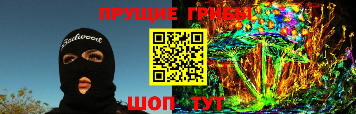 магазин    Псилоцибиновые грибы Psilocybine cubensis  Вход с VPN  Скопин 